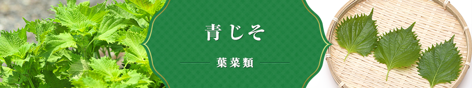 青じそ 葉菜類