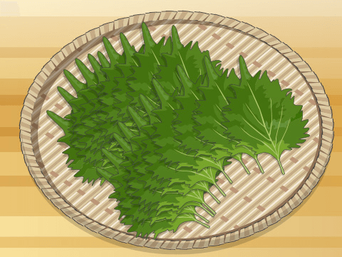 青じそ