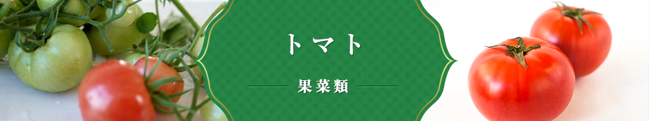 トマト 果菜類