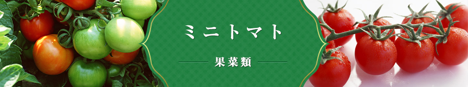 ミニトマト 果菜類