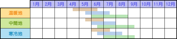 青じそ栽培カレンダー
